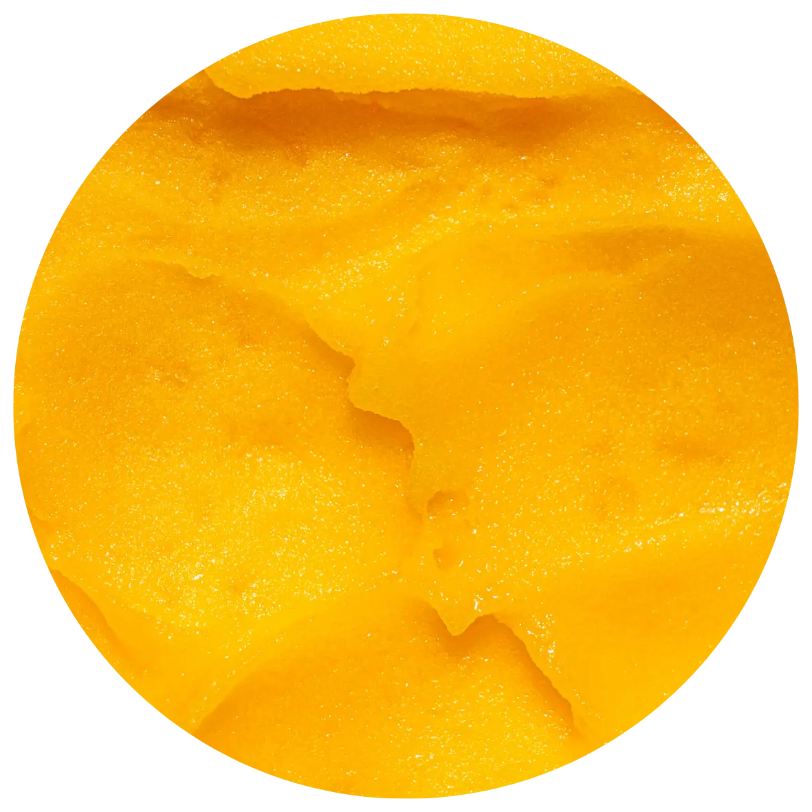 Orange Sorbet (Vegan)